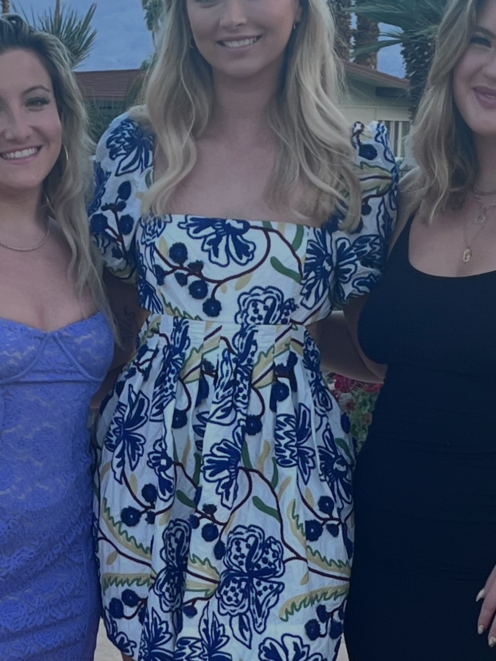 Anthropologie Blue & White Floral Puff-Sleeve Midi Dress - Picture 4 of 4